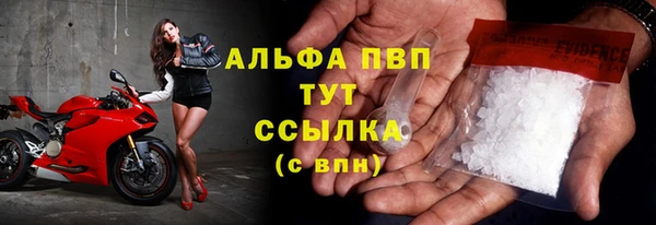 эйфоретик Беломорск