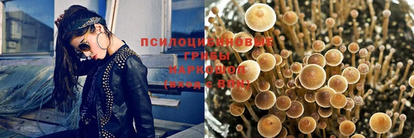 твердый Белокуриха