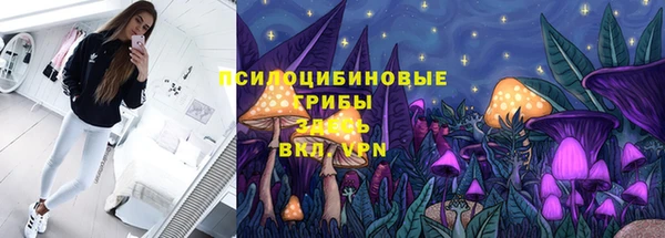 эйфоретик Беломорск