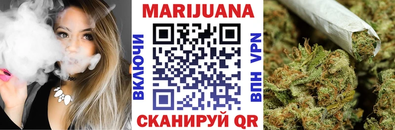 Каннабис сатива  Кирсанов 